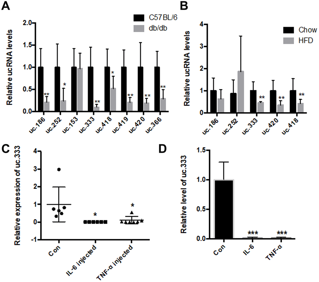 Ultraconserved element uc.333 increases insulin sensitivity by 