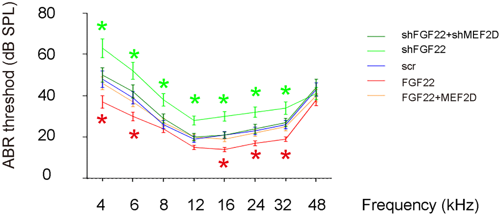 FGF22 depletion induces elevation of ABR threshold. The effects on ABR threshold of the mice were assessed. ABR threshold was identified as the stimulus intensity required to evoke a voltage response 5x the root mean square (RMS) noise floor for the measurement. *p