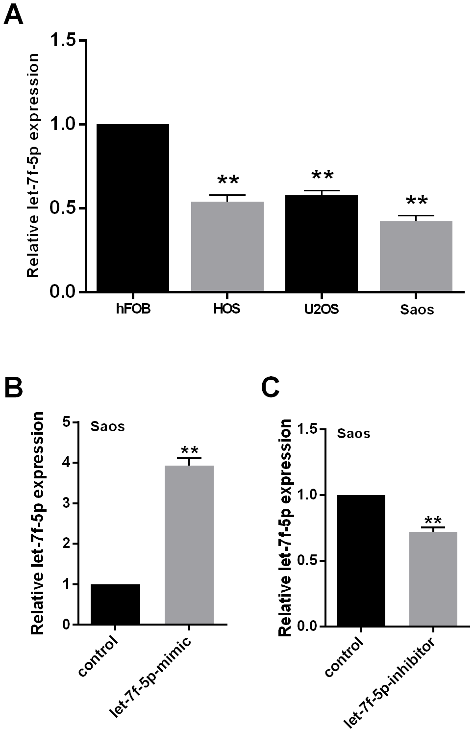 (A) let-7f-5p expression was decreased in osteosarcoma (OS) cell lines. qRT-PCR was used to evaluate the endogenous levels of let-7f-5p in hFOB cells and HOS, U2OS, and Saos OS cell lines. (B) and (C) qRT-PCR was used to quantitate the expression of let-7f-5p following transfection with the let-7f-5p mimic or inhibitor in Saos cells.