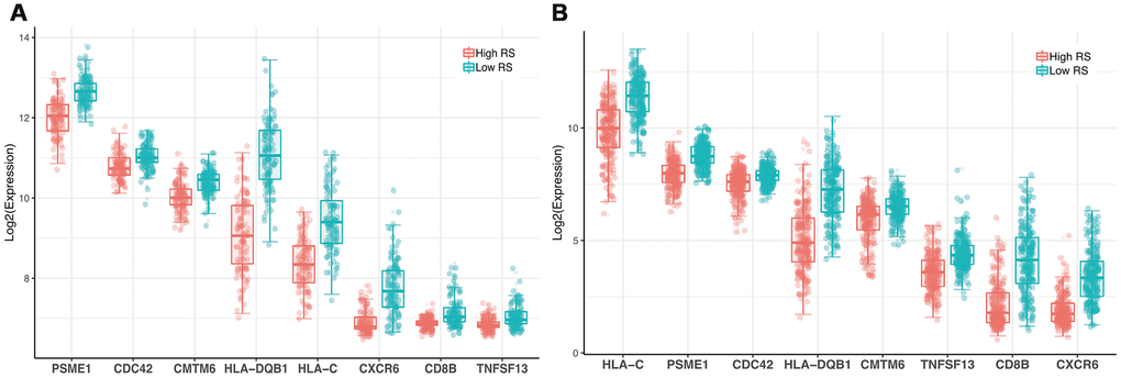 Expression profile of 8 genes. (A) GSE dataset (B) TCGA dataset.