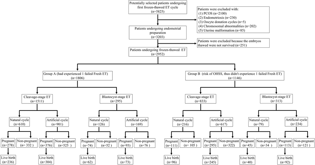 Flow chart of patient selection.