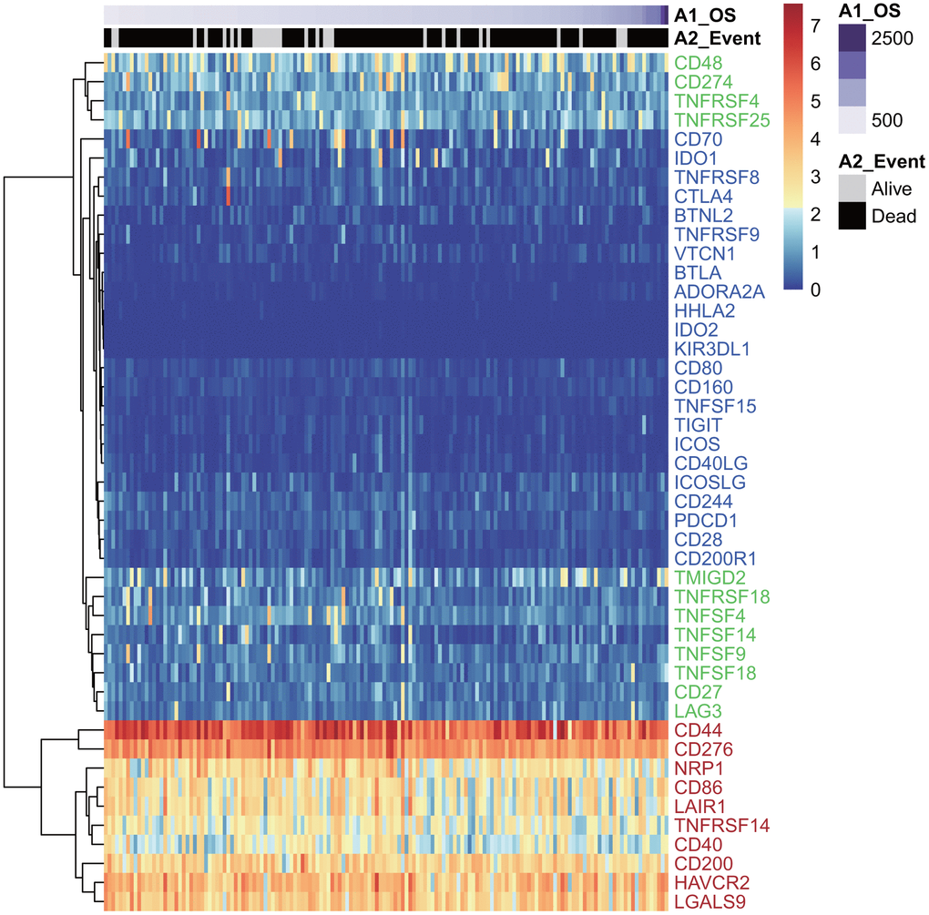 The heatmap of ICG expression in the TCGA-GBM dataset. Red indicates the high expression group; green indicates the moderate expression group; blue indicates the low expression group.