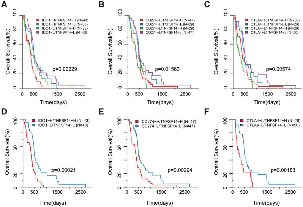 Survival KM plot by a combined analysis of ICGs and TNFSF14 expression in TCGA. (A) Survival based on high/low IDO-1 expression and TNFSF14 expression. (B) Survival based on high/low CD274 expression and TNFSF14 expression. (C) Survival based on high/low CTLA-4 expression and TNFSF14 expression. (D–F): The best and worst prognosis of the above expression combinations.