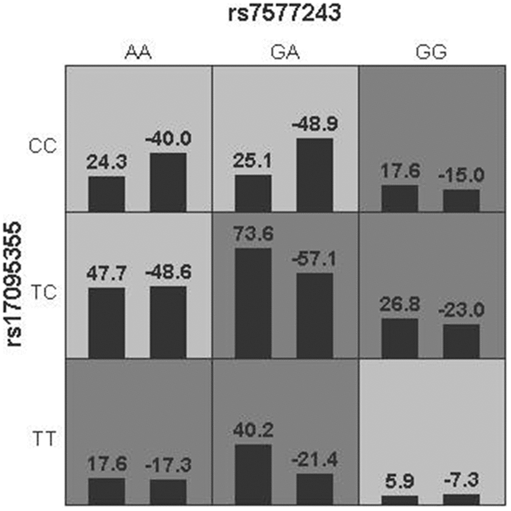 Gene-gene interaction networks derived from GMDR regarding BA risk. Multilocus genotype combinations of a two-factor model are associated with risk to BA best. In each cell, the left bar represents a positive score, and the right bar represents a negative score. High risk are represented by dark shading cells and low-risk cells by light shading. Rs17095355 was in ADD3 region and rs7577243 was in GPC1 region.