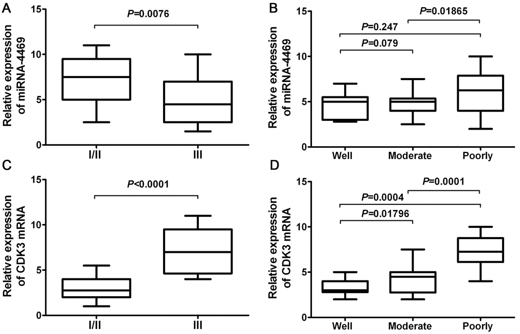 miR-4469 and CDK3 were both associated with clinicopathological characteristics in ESCC. (A) The association of miR-4469 with TNM stage, (B) The association of miR-4469 with histological grade, (C) The association of CDK3 with TNM stage, and (D) The association of CDK3 with histological grade.