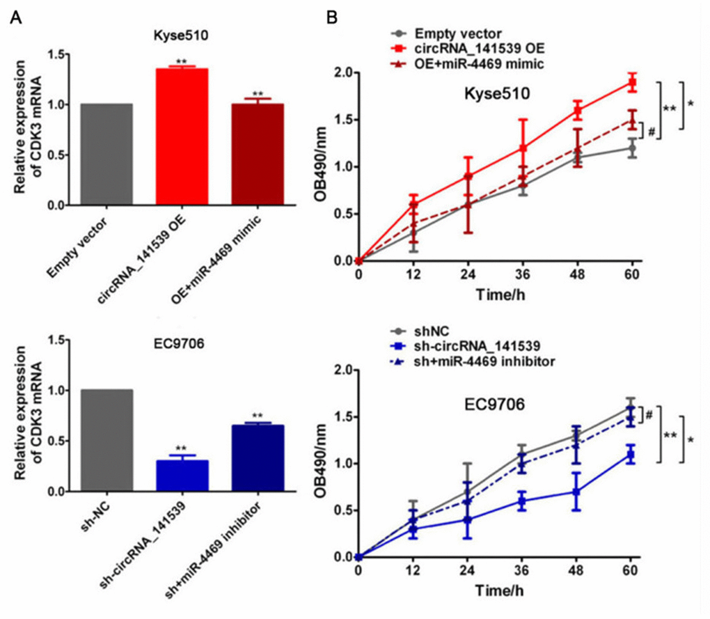 Rescue experiment, miR-4469 reversed the effects of circRNA