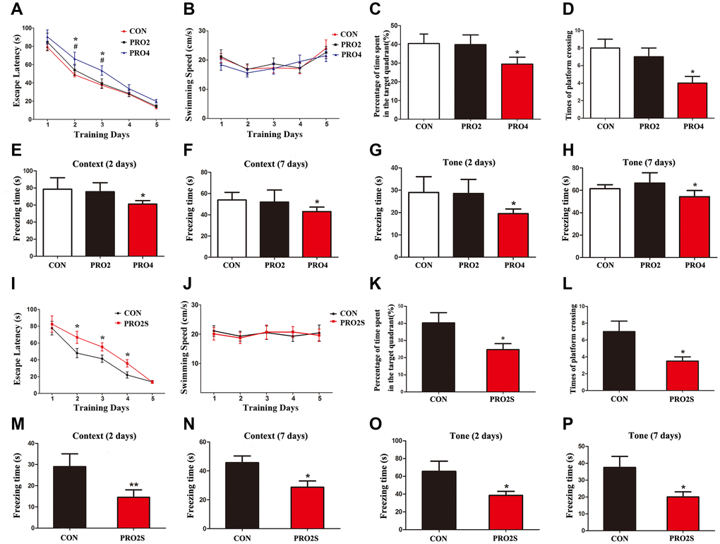 The effects of propofol anesthesia with or without surgery on learning and memory behaviors in aged rats. (A) Propofol alone for 4 h but not 2 h increased the escape latency in the MWM test. (B) Propofol alone did not alter the swimming speed. (C) Propofol alone for 4 h but not 2 h reduced the percentage of time spent in the target quadrant. (D) Propofol alone for 4 h but not 2 h reduced the number of platform crossings. (E, F) Propofol alone for 4 h reduced the freezing time in the context test of the FCT both 2 and 7 days after anesthesia. (G, H) Propofol alone for 4 h reduced the freezing time in the tone test of the FCT both 2 and 7 days after anesthesia. (I–L) Propofol anesthesia (2 h) and surgery increased the escape latency (I), had no effect on the swimming speed (J), reduced the target quadrant dwelling time (K) and reduced the number of platform crossings (L) in the MWM test. (M–P) Propofol anesthesia (2 h) and surgery reduced the freezing time in the context (M, N) and tone (O, P) tests of the FCT 2 and 7 days after anesthesia. *p p 