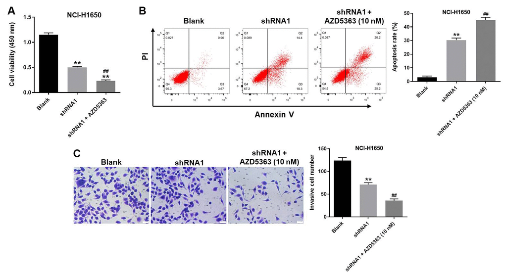 Akt inhibitor further enhanced the inhibitory effect of hsa