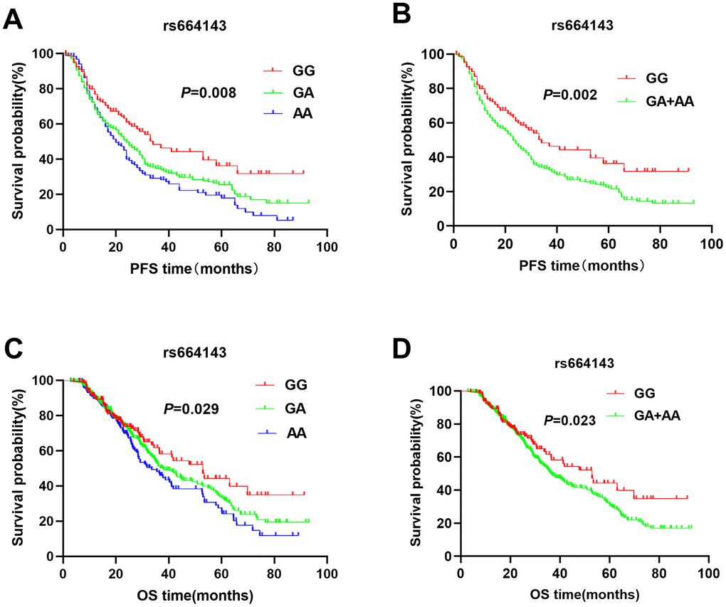 Kaplan-Meier survival curve analysis shows disease-free survival (A) GG vs. GA vs. AA, (B) GA/AA vs. GG); and overall survival (C) GG vs. GA vs. AA, (D) GA/AA vs. GG, of NSCLC patients with ATM rs664143 genotypes that are treated with radiation or chemoradiation therapies.