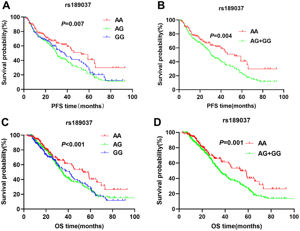 Kaplan-Meier survival curve analysis shows disease-free survival (A) AA vs. AG vs. GG, (B) AG/GG vs. AA; and overall survival (C) AA vs. AG vs. GG, (D) AG/GG vs. AA, of NSCLC patients with ATM rs189037 genotypes that are treated with radiation or chemoradiation therapies.