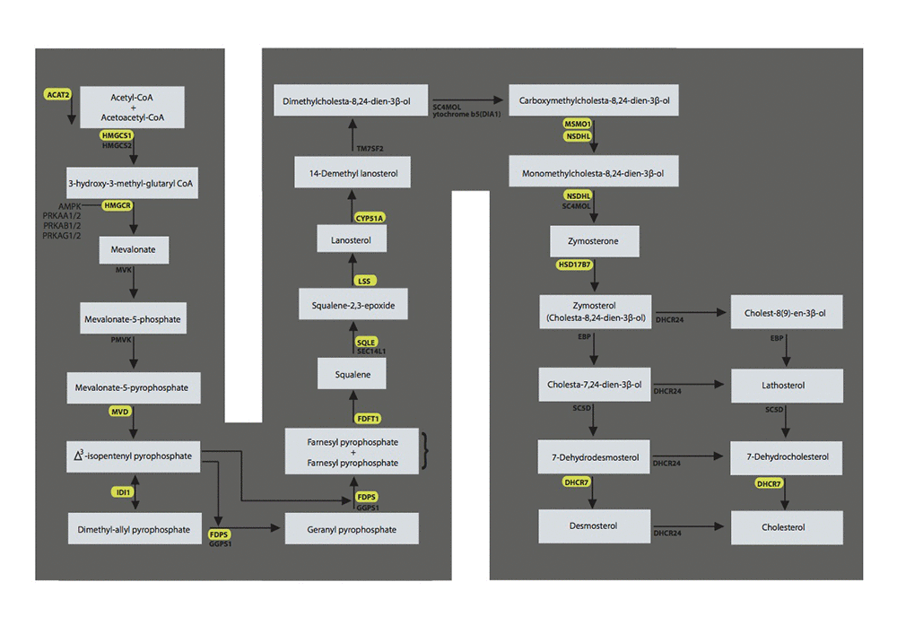 class="figure-viewer-img"