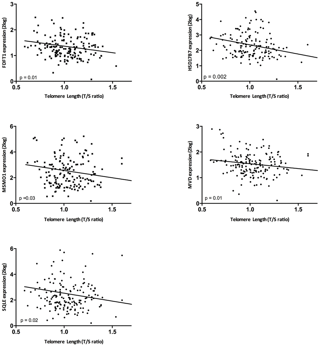 The correlation between telomere length and gene expression in the validation cohort. Associations between telomere length and gene expression were assessed by means of Spearman correlations.