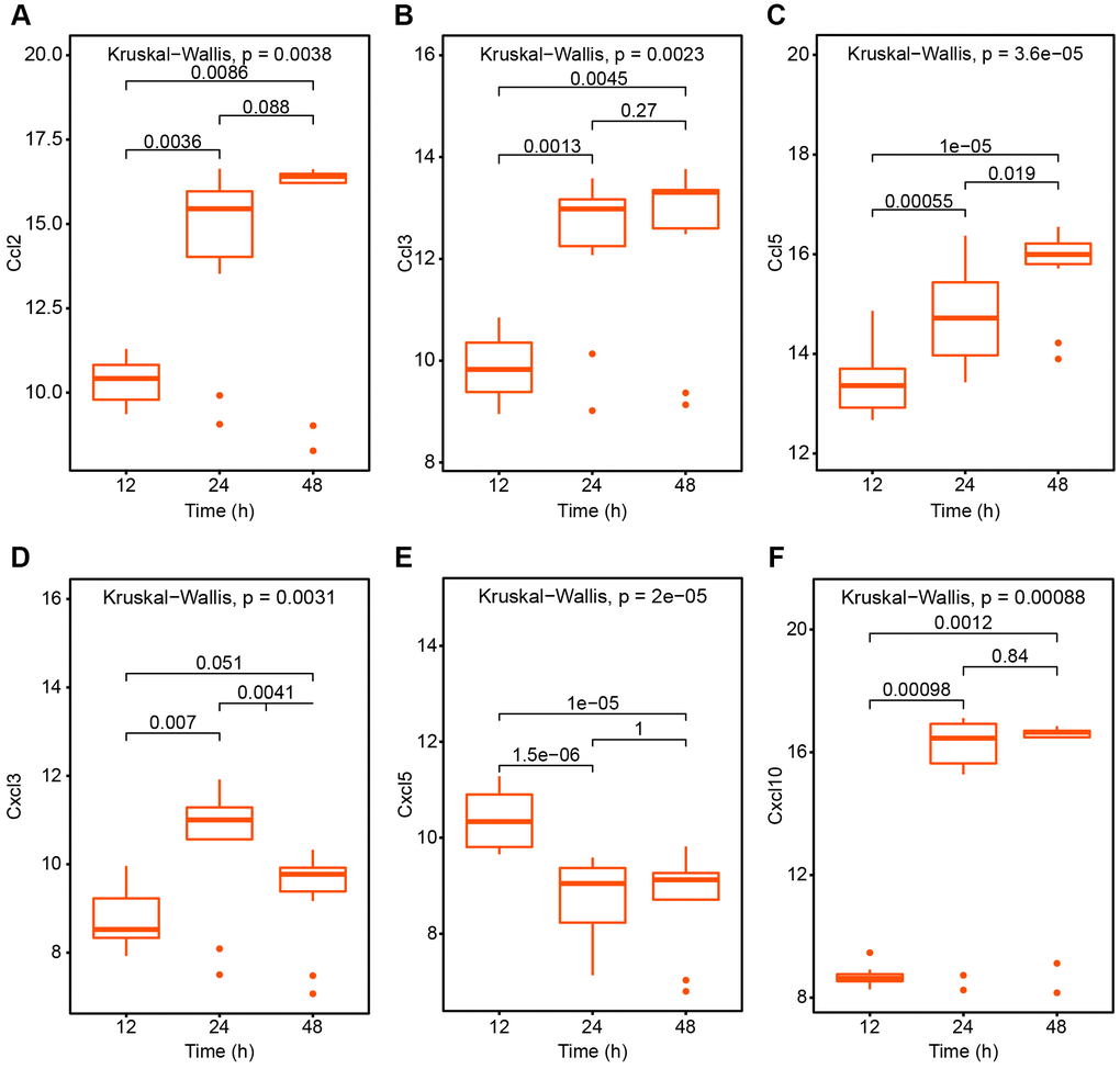 The variation trend of chemokines after SARS-CoV treatment 12h, 24h and 48h respectively. (A) Ccl2; (B) Ccl3; (C) Ccl5; (D) Cxcl3; (E) Cxcl5; (F) Cxcl10.