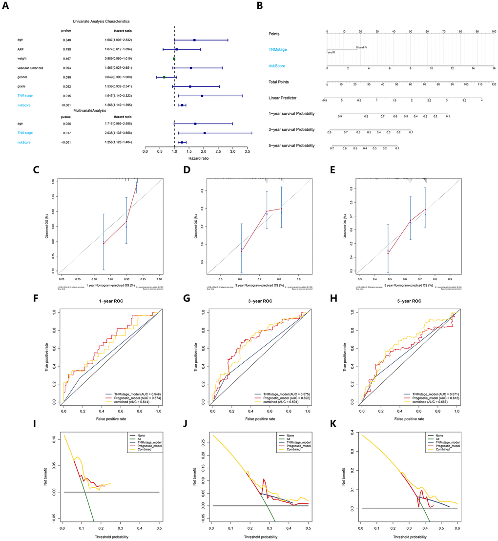 Construction and verification of a predictive nomogram. (A) Univariate and multivariate Cox regression suggested the prognostic model and age were independent prognostic predictors. (B) The nomogram for OS prediction in HCC patients at 1, 3, and 5 years. (C–E) Calibration curves of nomogram for OS prediction at 1, 3, and 5 years. (F–H) ROC curves to evaluate the predictive performance of nomogram. (I–K) DCA curves to evaluate the clinical decision-making benefits of nomogram.