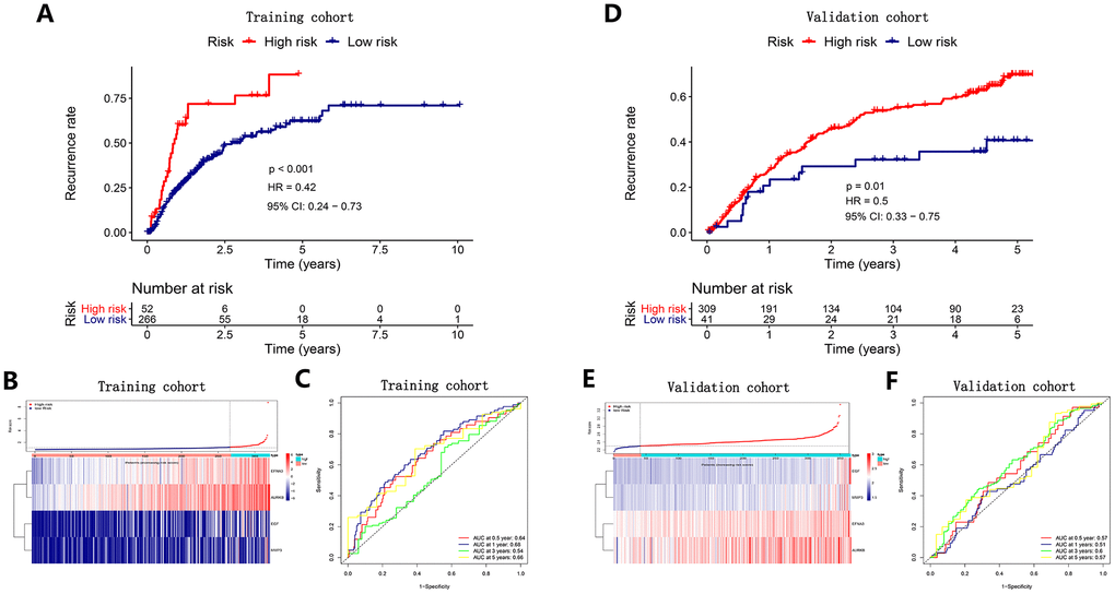 Survival analysis, risk score distribution and time-dependent ROC curves of a recurrence model in the TCGA HCC cohort (A–C) and ICGC HCC cohort (D–F). (A, D) The recurrence rates in the high-risk group was much higher than that in the low-risk group (PB) and E Gene expression levels and corresponding risk scores in HCC patients. (C, F) ROC curve analysis for recurrence prediction.