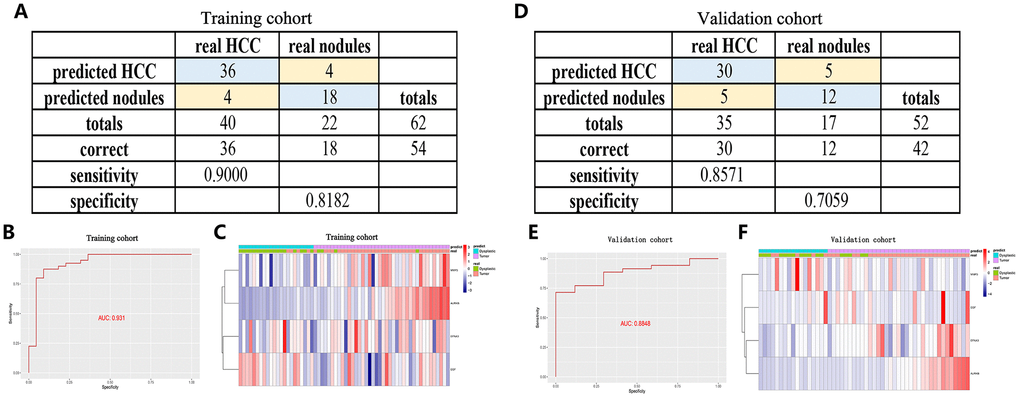 A diagnostic model for distinguishing HCC from proliferative nodules in the training dataset (GSE89377) and validation dataset (GSE6764). (A, D) Confusion matrix for the binary classification results of the diagnostic model. (B, E) ROC curves for the predictive performance evaluation of the diagnostic model. (C, F) Unsupervised hierarchical clustering of the four angiogenic genes for the diagnostic model.