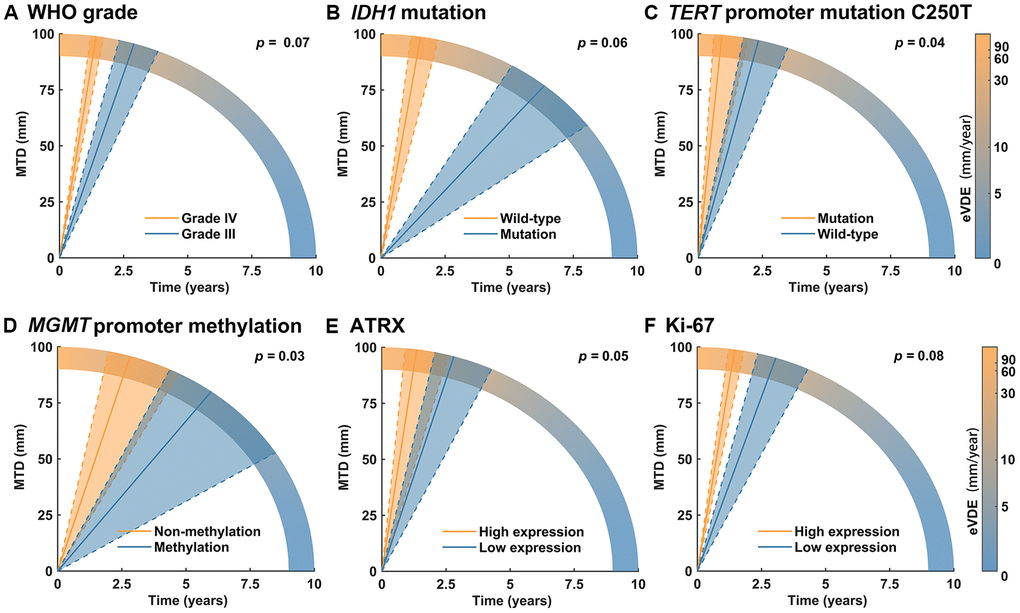 The association of molecular biomarkers and tumor growth. (A) The WHO grade was marginally significantly associated with tumor growth in multivariable analysis (p = 0.07). (B–F) TERT promoter mutation C250T (p = 0.04), ATRX (p = 0.05) and Ki-67 high expression (p = 0.08), IDH1 mutation (p = 0.06) and MGMT promoter methylation (p = 0.03) showed significant or marginally significant association with tumor growth in univariable analysis but not in multivariable analysis (p > 0.05).