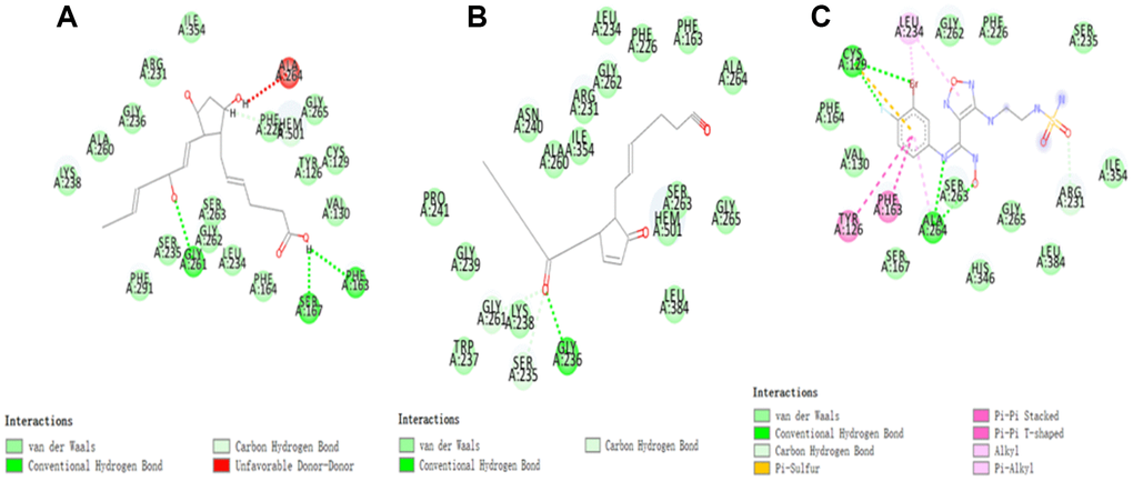 The inter-molecular interaction of the predicted binding modes of (A) ZINC000003791817 to IDO; (B) ZINC000012495022 to IDO, (C) Epacadostat to IDO.