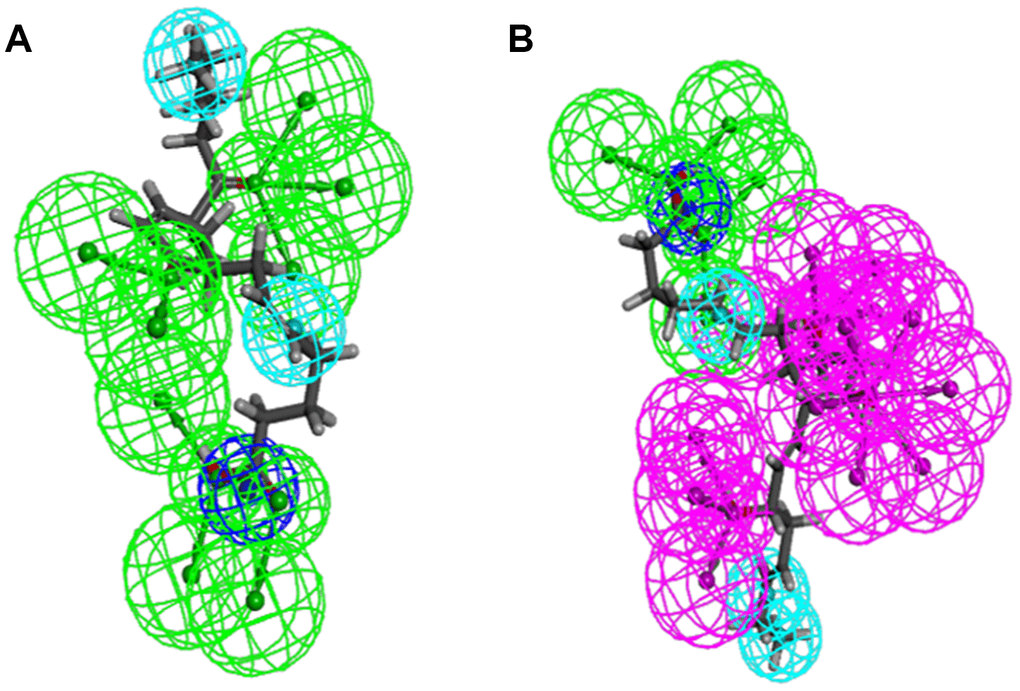 Pharmacophore predictions using 3D-QSAR. (A) ZINC000012495022: Green represents hydrogen acceptor, and blue represents hydrophobic center and dark blue represents Ionizable negative. (B) ZINC000003791817: Green represents hydrogen acceptor, blue represents hydrophobic center, purple represents hydrogen donor, and dark blue represents Ionizable negative.