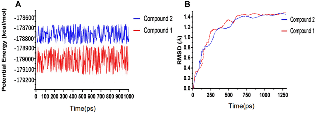 Results of molecular dynamics simulation of three complexes. (A) Potential Energy; (B) Average backbone RMSD.