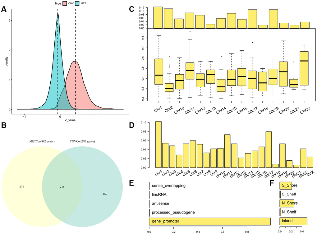 Identification of DNA copy-number-correlated (CNVcor) and DNA methylation-correlated (METcor) genes in SKCM. (A) Distribution of correlation coefficients between mRNA expression levels and DNA copy number or DNA methylation across samples. (B) Venn diagram showing counts of CNVcor genes, METcor genes, and overlapping genes. (C) Proportional frequencies of CNVcor genes against total gene counts in each chromosome arm. (D) Proportional frequencies of METcor genes against total gene counts in each chromosome arm. (E, F) Genomic positions of DNA methylation probes are categorized based on positional relations with CpG islands (right) and genes (left).