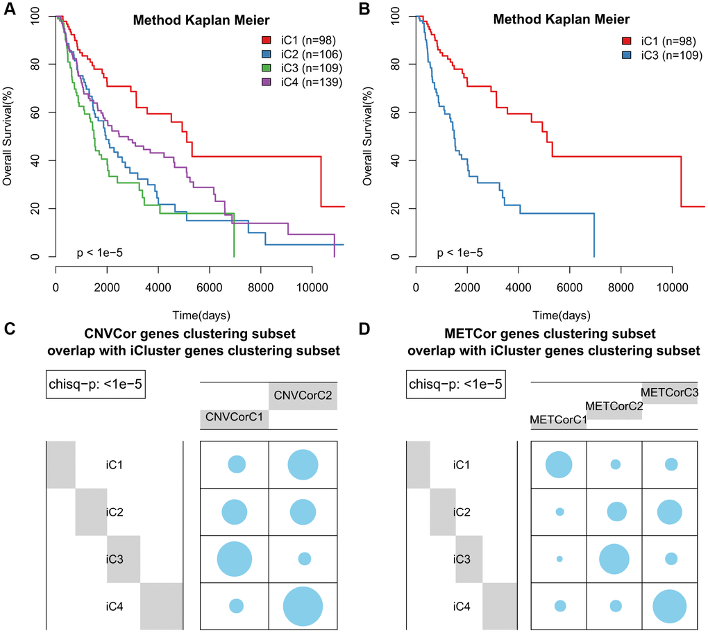 Identification of SKCM molecular subtypes using iCluster analysis. (A) Kaplan–Meier plot analyses of differences in OS among subtypes identified by iCluster (iC1, iC2, iC3, and iC4). (B) Kaplan–Meier plot analyses of OS in iC3 and iC1 subtypes. (C, D) The subtypes determined through iCluster analysis overlapped extensively with those based on CNVcor (C) or METcor (D) genes.