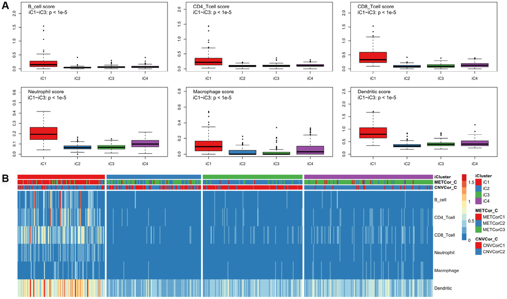 Identification of key immune features for SKCM subtypes. Immune scores were calculated for samples from the four subtypes and were compared using the TIMER (tumor immune estimation resource) approach. Scores were determined for six immunocytes in each sample (A); these scores were compared among subtypes (B).