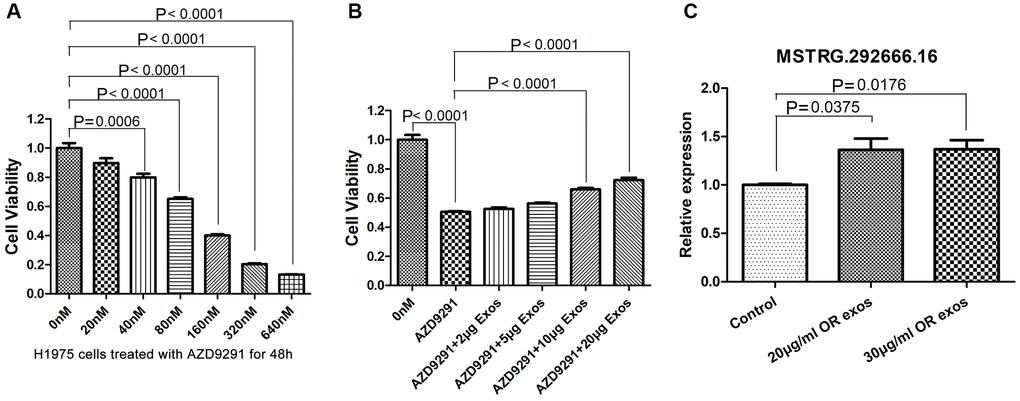 Osimertinib-resistant exosomes induce the resistance of H1975 cells to osimertinib. (A) Cell viability was assessed by CCK-8 assays. H1975 cells were treated with different concentrations of AZD9291 for 48h. (B) Cell viability was assessed by CCK-8 assays. H1975 cells were treated with AZD9291 and then incubated with different concentrations of osimertinib-resistant exosomes. (C) qRT-PCR determined the relative expression of lncRNA MSTRG.292666.16.