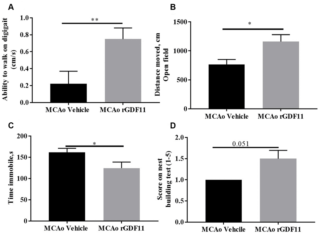 Improvement in motor function on day 30 with rGDF11 treatment. (A) improved gait function as assessed by the digigait at day 14, (B) increase in distance moved in the open field at day 30 post-MCAo, (C) reduction in time immobile, (D) nest-building score at day 30 post MCAo in aged mice. n=6-12 *p