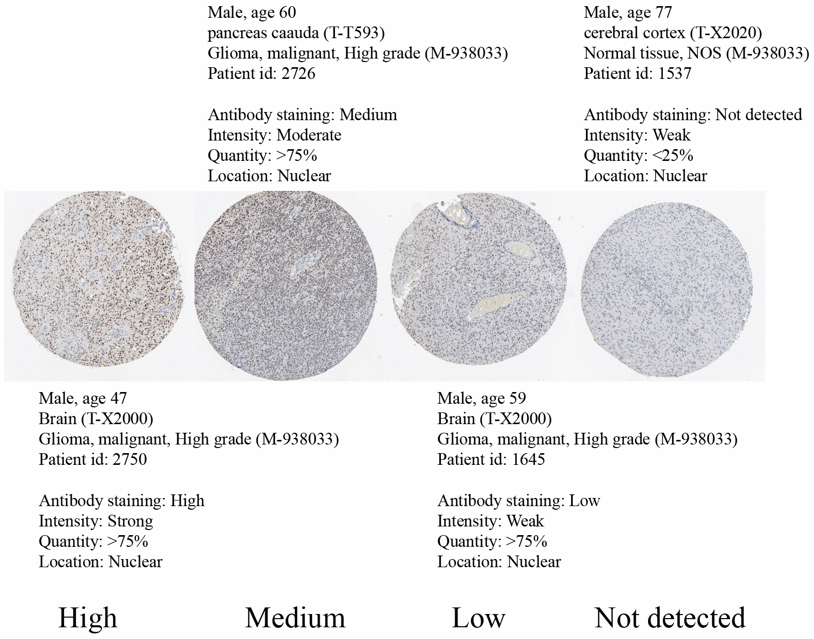 class="figure-viewer-img"