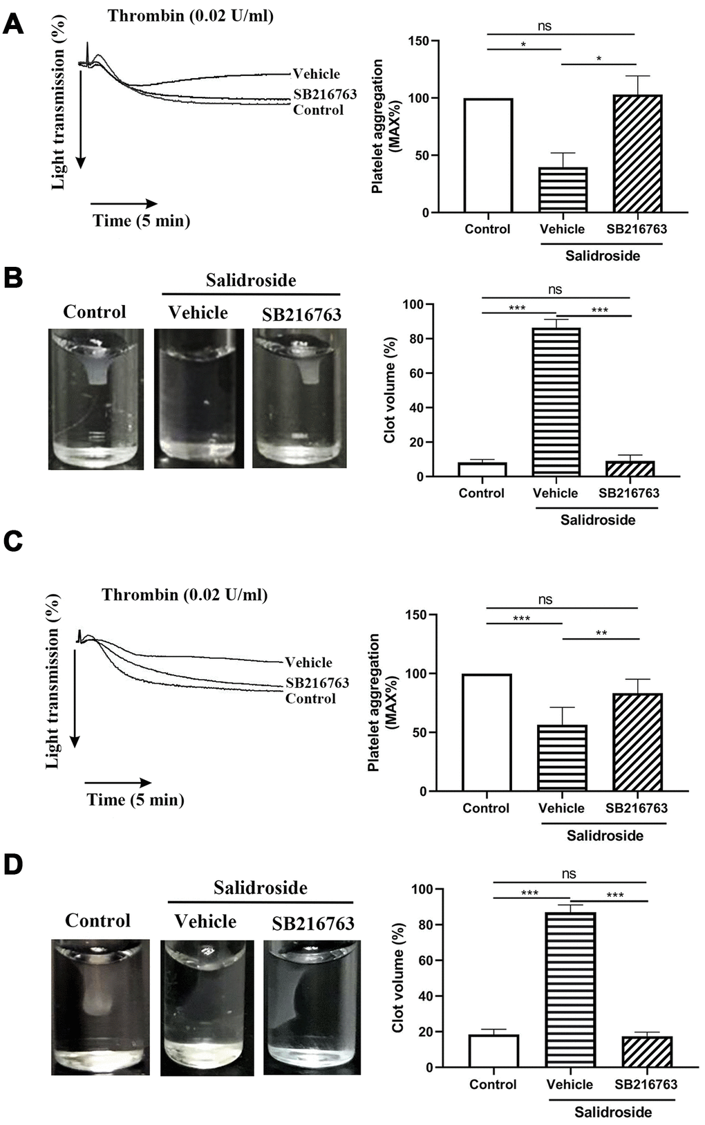 Effect of inhibition of GSK3β on platelet function. Washed human (A and B) or mouse (C and D) platelets were pretreated with GSK3β inhibitor SB216763 (10 μM) for 2 h at 37C followed by treated with salidroside (20 μM) at 37 for 1 h. After that, platelet aggregation in response to thrombin (A and C) and clot retraction (B and D) was performed. The clot image was captured at 60 min after initiation. Data were shown as mean ± SE (n = 4) and analyzed by one-way ANOVA. *P 