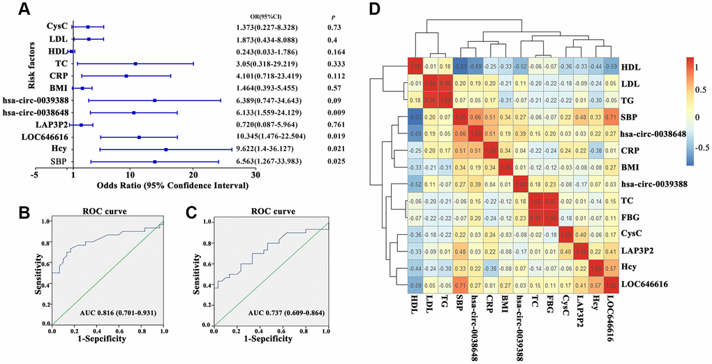 Clinical correlations between DE ncRNAs and hypertension. (A) Forest plot depicting logistic regression analysis results for the association between DE lncRNAs and circRNAs and general clinical data in hypertensive subjects. (B, C) Receiver operating characteristic (ROC) analysis of the relationship between LOC646616 and hsa