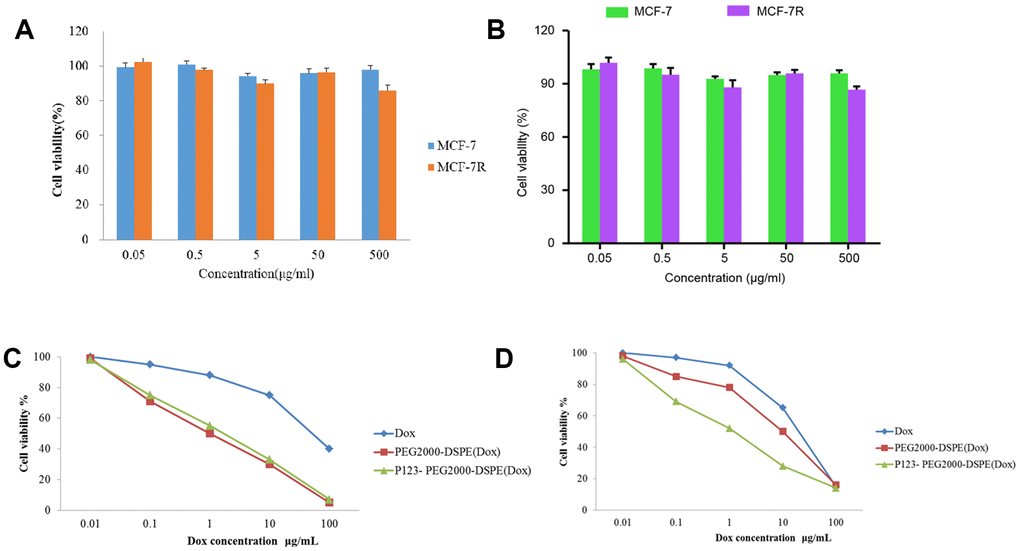 P123-PEG2000-DSPE (Dox) inhibited cell growth in MCF-7 and MCF-7R cells. (A) Cell viability of MCF-7 and MCF-7R cells treated with different doses of PEG2000-DSPE (unloaded nano micelles) at 24 h by MTT assay. (B) Cell viability of MCF-7 and MCF-7R cells treated with different doses of P123-PEG2000-DSPE at 24 h by MTT assay. (C) Cell viability of MCF-7 cells treated with PBS (control), Dox, PEG2000-DSPE (Dox) or P123-PEG2000-DSPE (Dox) by MTT assay. (D) Cell viability of MCF-7R cells treated with PBS (control), Dox, PEG2000-DSPE (Dox) or P123-PEG2000-DSPE (Dox) by MTT assay.