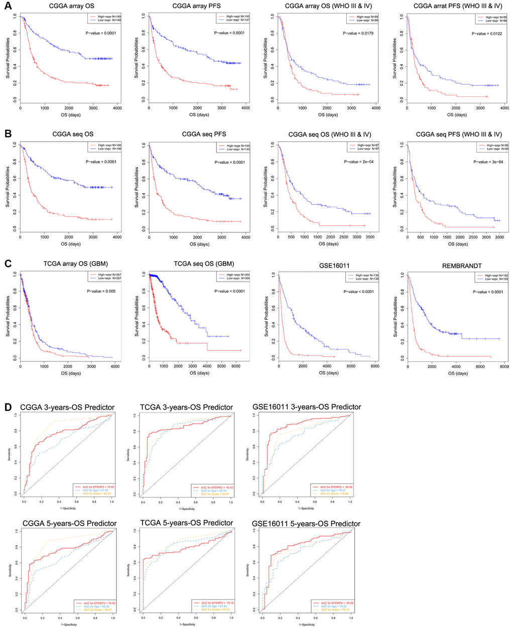 Patients with higher EFEMP2 transcription level exhibits poorer OS and PFS. (A) The half of patients with higher EFEMP2 expression exhibited shorter OS and PFS in Kaplan-Meier analyses based on CGGA mRNA array dataset. (B) The half of patients with higher EFEMP2 expression exhibited shorter OS and PFS in Kaplan-Meier analyses based on CGGA mRNA sequencing dataset. (C) Kaplan-Meier analyses of OS based on TCGA mRNA array, TCGA mRNA sequencing data, GSE16011 and REMBRANDT datasets. (D) The ROC curves indicating the sensitivity and specifcity of predicting 3- or 5-years of overall survival with EFEMP2-level in CGGA, TCGA, or GSE16011 database.