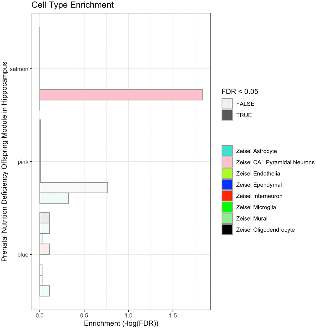 Cell-type enrichment analysis of the blue, pink and salmon modules significantly responding to prenatal nutrition deficiency in the hippocampus.