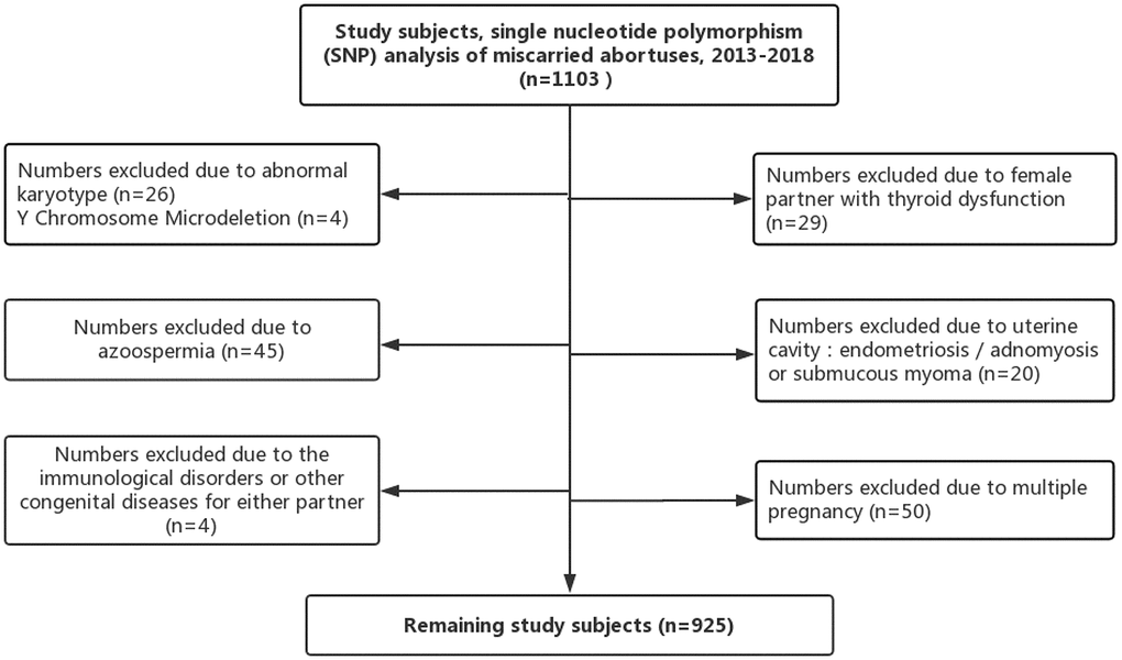 Study inclusion and exclusion.