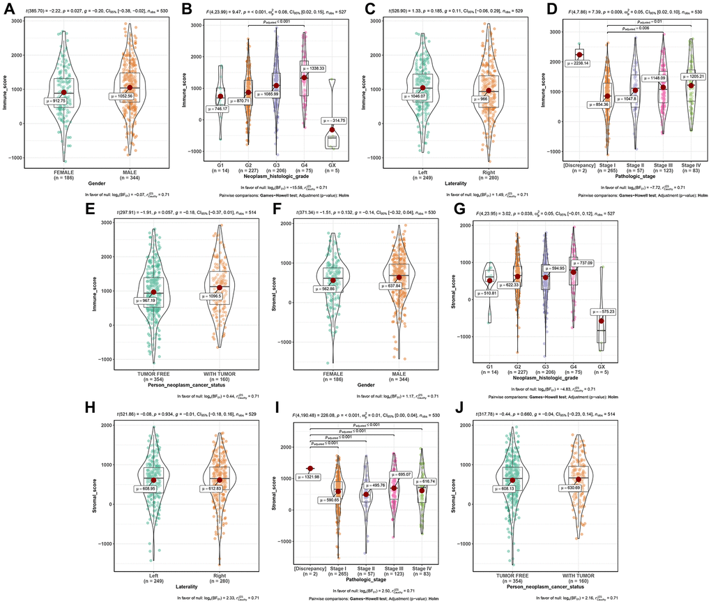 Distribution of immune scores of gender (A), neoplasm histologic grade (B), laterality (C), pathologic stage (D), and person neoplasm cancer status (E). Distribution of stromal scores of gender (F), neoplasm histologic grade (G), laterality (H), pathologic stage (I), and person neoplasm cancer status (J).