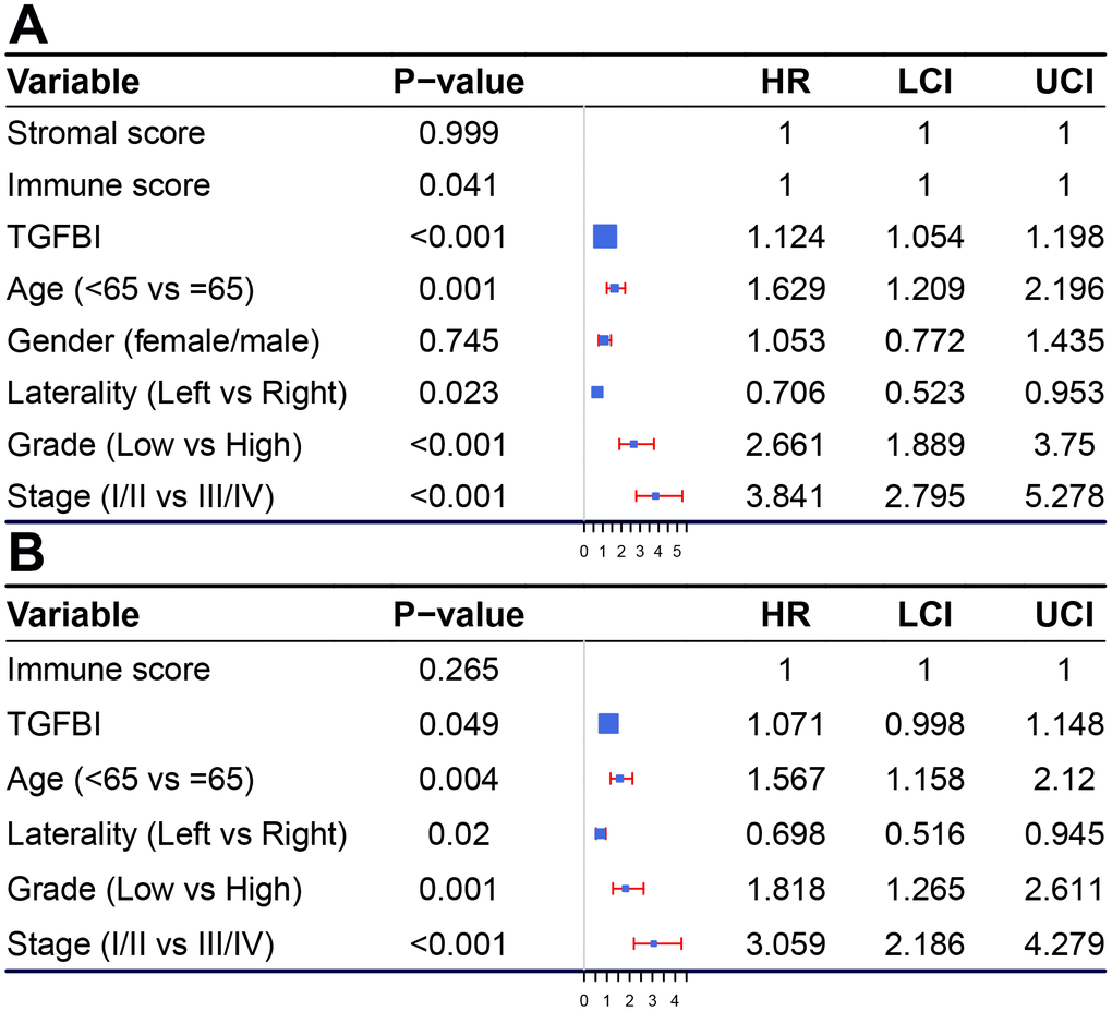 Forest plot summary of analyses of OS. Univariable (A) and multivariable analyses (B) of the stromal score, immune score, TGFBI, age, gender, grade, laterality, and tumor stage on all 530 patients.