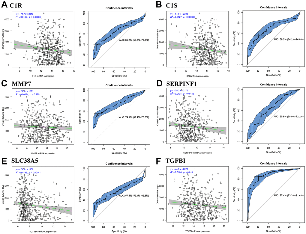 Identification of hub genes. Correlation between candidate hub genes and ccRCC patient overall survival days; ROC curve for candidate hub genes ((A) C1R; (B) C1S; (C) MMP7; (D) SERPINF1; (E) SLC38A5; (F) TGFBI).