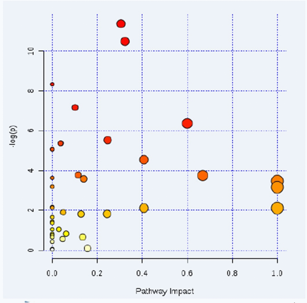 Pathway analysis found four significant differential metabolic pathways. Using nuclear magnetic resonance (NMR) metabolomics analysis, the increase of glucose uptake in PH rats, the accumulation of various glycolysis products such as lactic acid, and the activation of glycolytic pathway in PH rats were observed. This data indicated that there was a phenomenon in vascular cell proliferation and energy metabolism in PH rats. (1. Glycolytic pathway, 2. Arginine and proline metabolic pathway, 3. Butyric acid metabolic pathway, 4. Glycine, serine and threonine metabolism.)