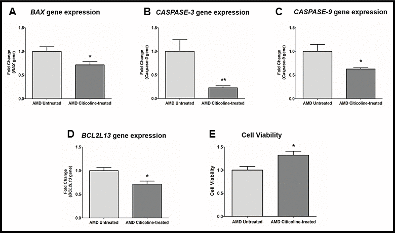 (A) BAX gene expression in AMD Untreated and AMD Citicoline-treated cells. (B) Caspase-3 gene expression in AMD Untreated and AMD Citicoline-treated cells. (C) Caspase-9 gene expression in AMD Untreated and AMD Citicoline-treated cells. (D) BCL2L13 gene expression in AMD Untreated and AMD Citicoline-treated cells. (E) Cell viability MTT assay.