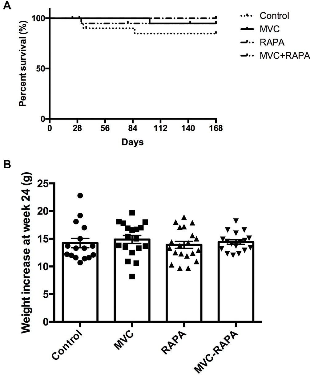 Survival and body weight. (A) Kaplan-Meier survival plot shows no differences. (B) Weight increase did not show statistically significant differences between groups. Each bar represents the mean ± SEM. *p 