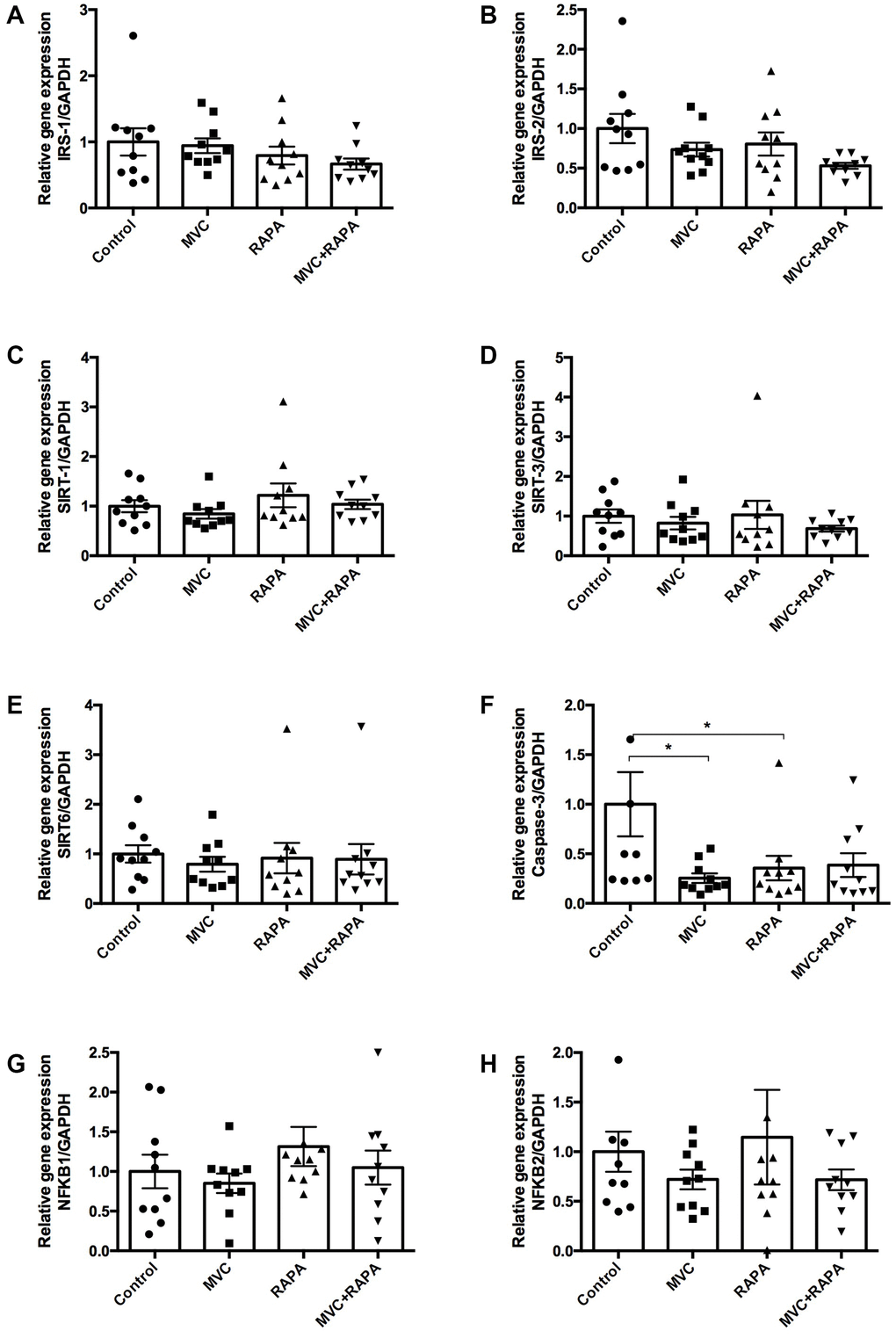 Muscle expression of insulin receptor substrate (1, 2), sirtuin (1-3), caspase-3, and nuclear factor KB at the RNA level. No differences were observed after analyzing (A) IRS-1, (B) IRS-2, (C) SIRT-1, (D) SIRT-3, or (E) SIRT-6. (F) Although caspase-3 was lower in all the therapeutics groups it was only statistically significant in MVC and RAPA groups. No differences were observed after analyzing (G) NFKB-1 and (H) NFKB-2. Each bar represents the mean ± SEM. *p 