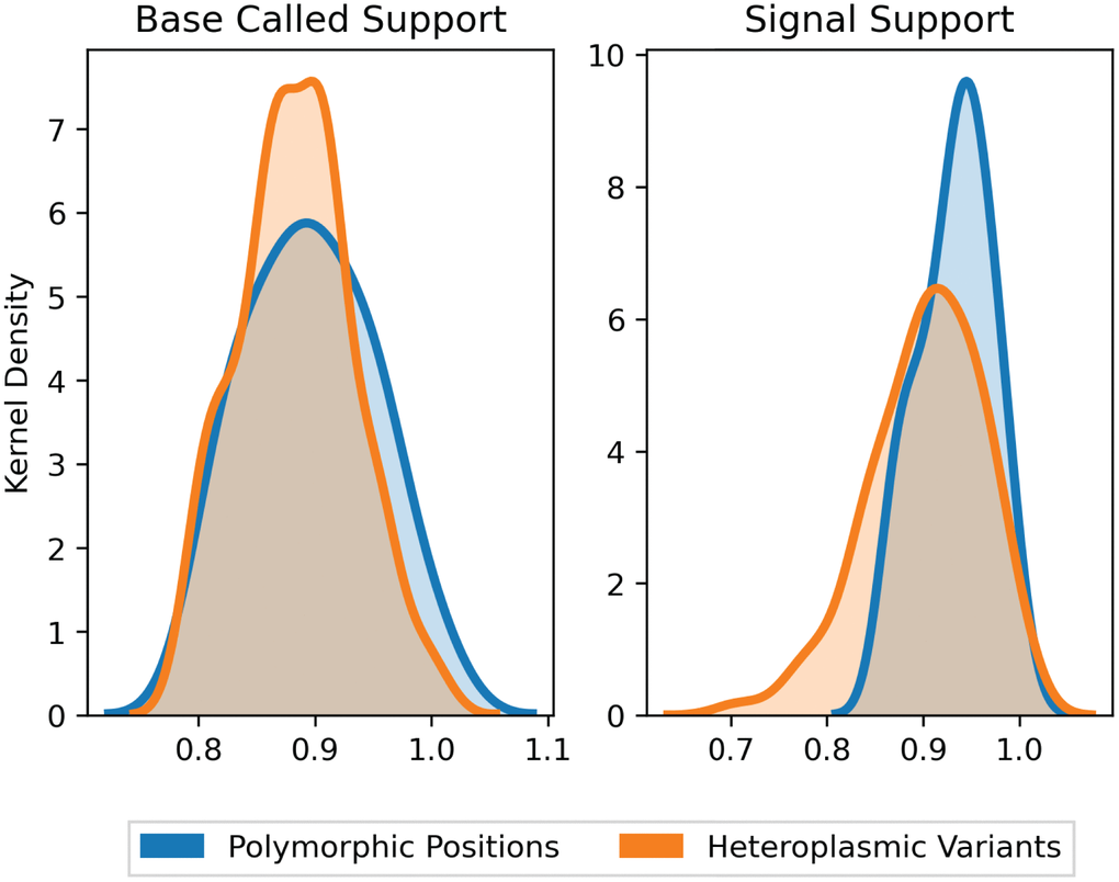 Support fraction distributions for polymorphic and heteroplasmic variants. Average base-called support fractions for polymorphic (blue, n = 36) and heteroplasmic (orange, n = 96) variants were 90.1% ± 1.7% and 89.2% ± 0.4%, respectively (mean ± SEM). Likewise, signal support fractions were comparable across polymorphic (93.5% ± 0.7%) and heteroplasmic (92.1% ± 0.6%) variants (mean ± SEM). Distributions are Kernel Density Estimates of base-called and signal support fractions, as determined by nanopolish for all variants. Base-called support and signal support fraction distributions were not significantly different (P = 0.39 and P = 0.17, respectively).