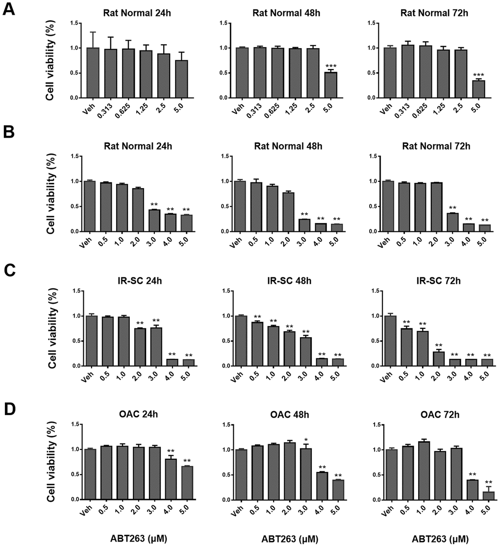 The effect of ABT263 on the viability of ionizing radiation-induced senescent rat chondrocytes (IR-SC), normal rat chondrocytes (NC) and human OA chondrocytes in culture. (A) Quantification of viable NC at 24, 48, and 72 h after treatment with increasing concentrations of ABT263. (B) CCK8 assay further confirmed that ABT263 showed cytotoxicity to NC after treatment with ABT263 (> 3 μM). (C) CCK8 tests showed a dose-dependent effect of ABT263 on killing IR–SC. (D) Quantification of viable P1 human OA chondrocytes after treatment with increasing concentrations of ABT263 for 24, 48, and 72 h. Data were shown as mean ± standard deviation. N = 3 per group.