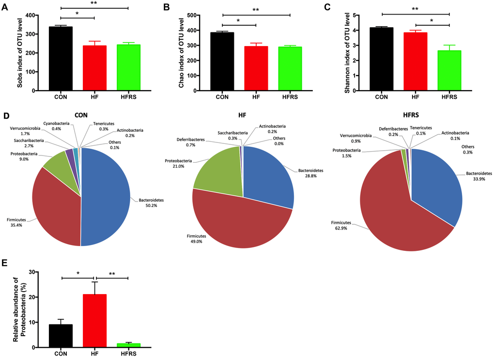 High-fat diet and RS2 supplemented with high-fat diet altered the microbial diversity and community at the phylum level in aged mice. (A–C) Alteration of α-diversity induced by HF diet and HFRS diet. (A) Sobs index and (B) Chao1 index represent richness of community, (C) Shannon index represents diversity of community. (D) Pie chart of phyla alteration caused by HF diet and HFRS diet. (E) Relative abundance of Proteobacteria among the three groups. n=4 to 6/group. Data are expressed as mean+SE. Differences were compared by one-way ANOVA among the three groups with Tukey’s multiple comparison posttests between the two groups. * p