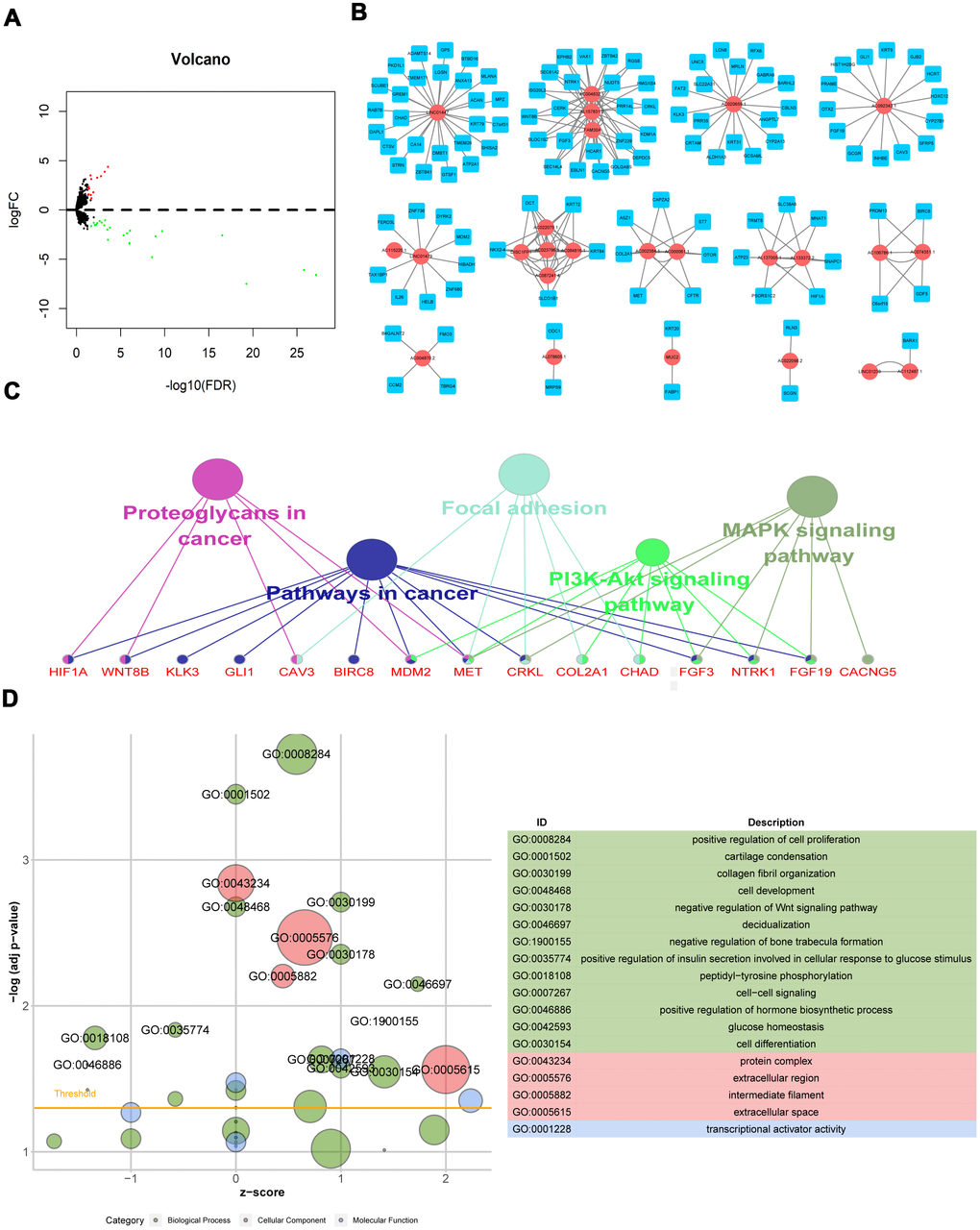 Differentially expressed lncRNAs associated with radiation response and biological functions of their potential target mRNAs. (A) Volcano map of DElncRNAs; (B) Radiosensitivity-related lncRNA-mRNA regulator network; (C) KEGG pathway of genes co-expressed with DElncRNAs; (D) GO functions of genes co-expressed with DElncRNAs.