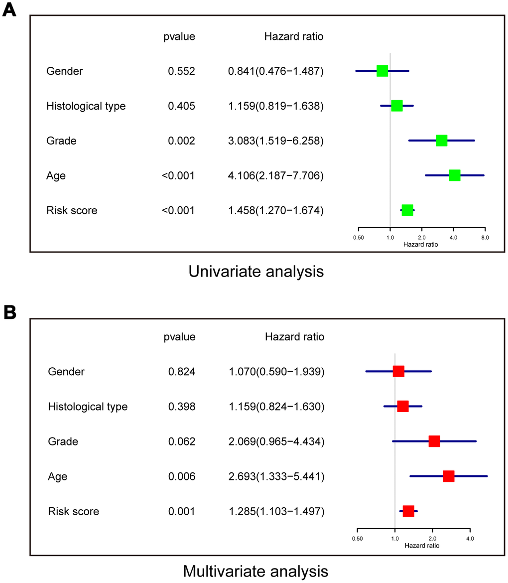 The risk model is an independent prognostic indicator for overall survival among LGG patients after radiotherapy. (A) Univariate analysis. (B) Multivariate Cox regression.