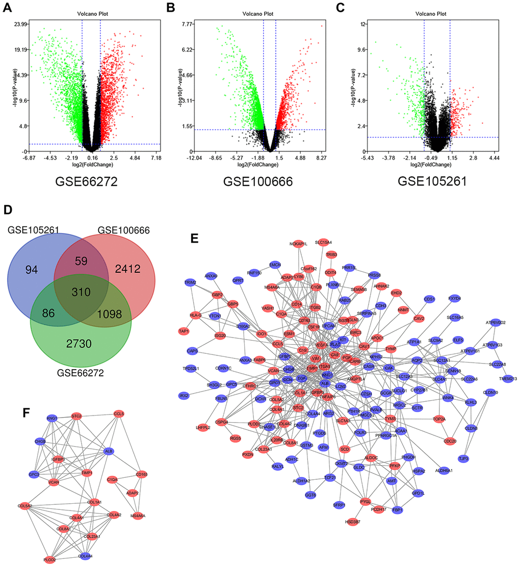 Differential expression of genes in the two sets of samples, Venn diagram, PPI network and the most significant DEG module. (A) GSE66272 data, (B) GSE100666 data, and (C) GSE105261 data. Red points represent upregulated genes screened on the basis of fold change > 1.0 and a corrected P-value of D) DEGs were selected with a |fold change| >1 and P-value E) The PPI network of DEGs was constructed using Cytoscape. (F) The most significant module was obtained from a PPI network with 21 nodes and 74 edges. Upregulated genes are marked in light red; downregulated genes are marked in light blue. Abbreviations: FC: fold change; GEO: Gene Expression Omnibus; DEGs; differentially expressed genes; PPI: protein–protein interaction.