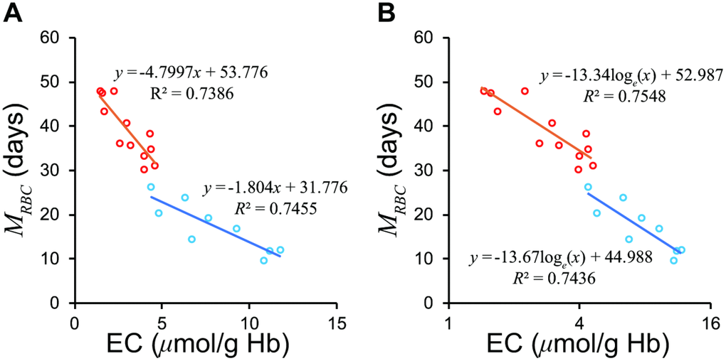Relationship between EC and MRBC in the groups with severe and mild hemolytic disease. (A) The two groups show differing regression lines on a normal scale. (B) The two groups are unified on a semi-logarithmic scale. The Red circles represent mild group, sky blue the severe group according to Fehr et al. [13]. EC, erythrocyte creatine; MRBC, mean erythrocyte age.